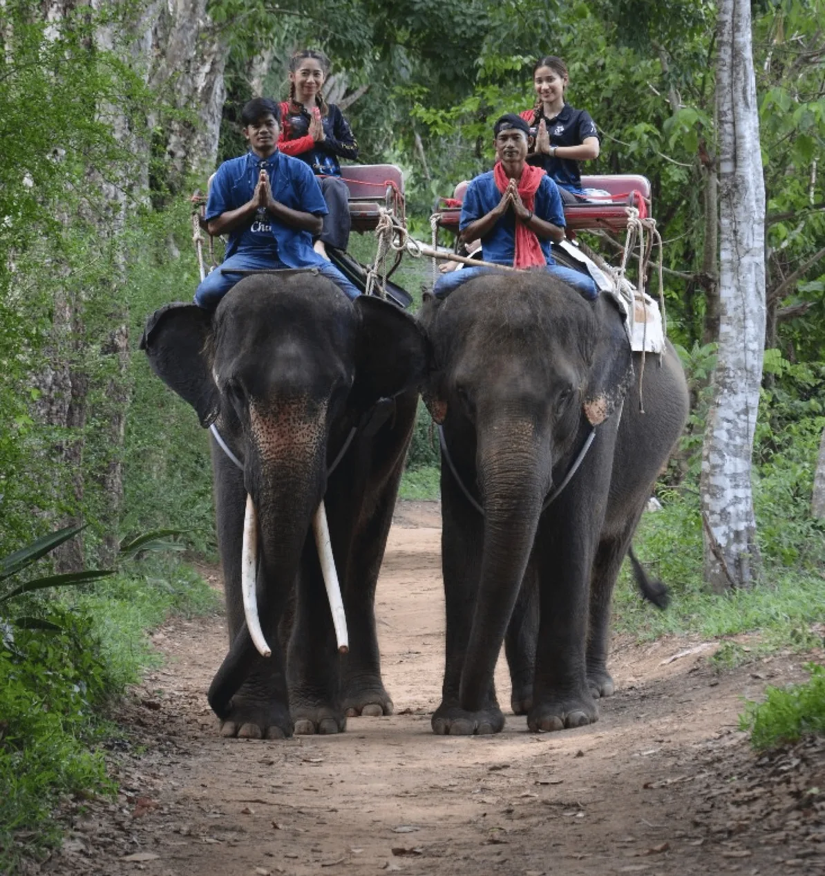 Phuket & Bangkok